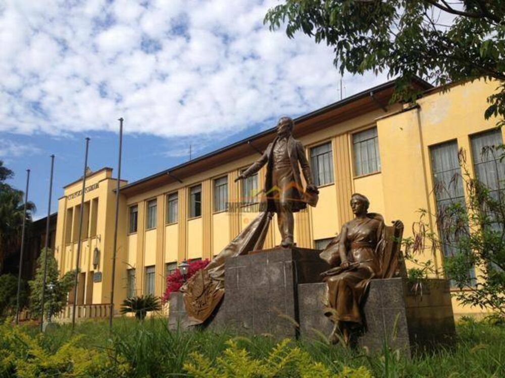 Terreno, 12 hectares - Foto 8