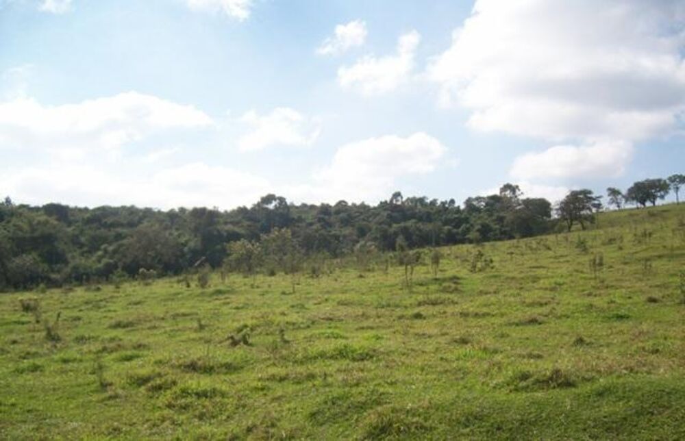 Terreno, 12 hectares - Foto 1