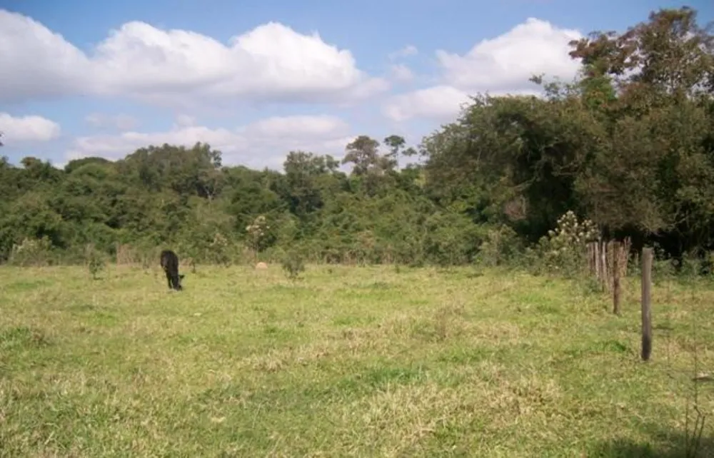 Terreno, 12 hectares - Foto 4