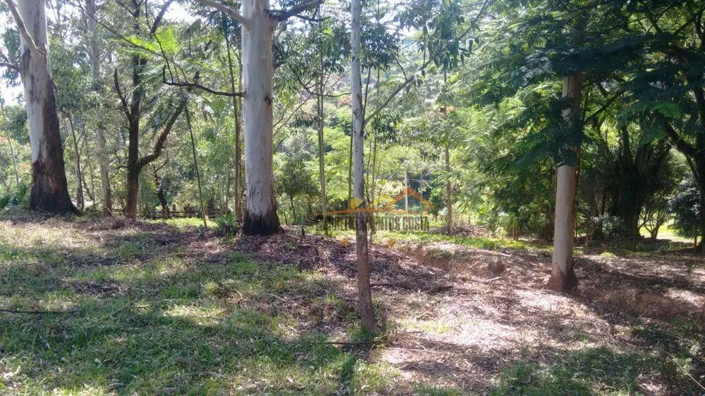 Sítio, 17 hectares - Foto 15