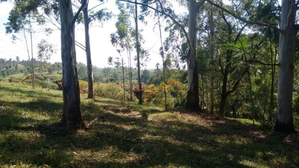 Sítio, 17 hectares - Foto 4