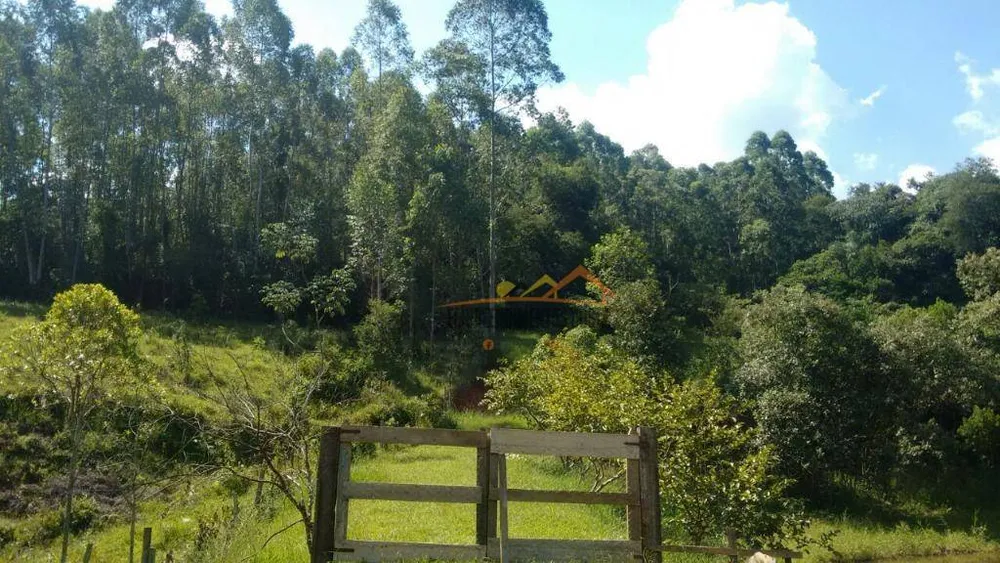Sítio, 17 hectares - Foto 14