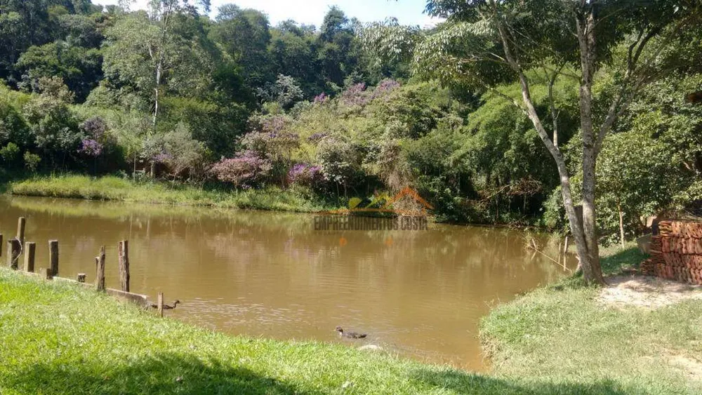 Sítio, 17 hectares - Foto 12