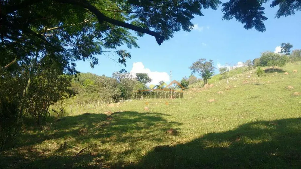 Sítio, 17 hectares - Foto 17