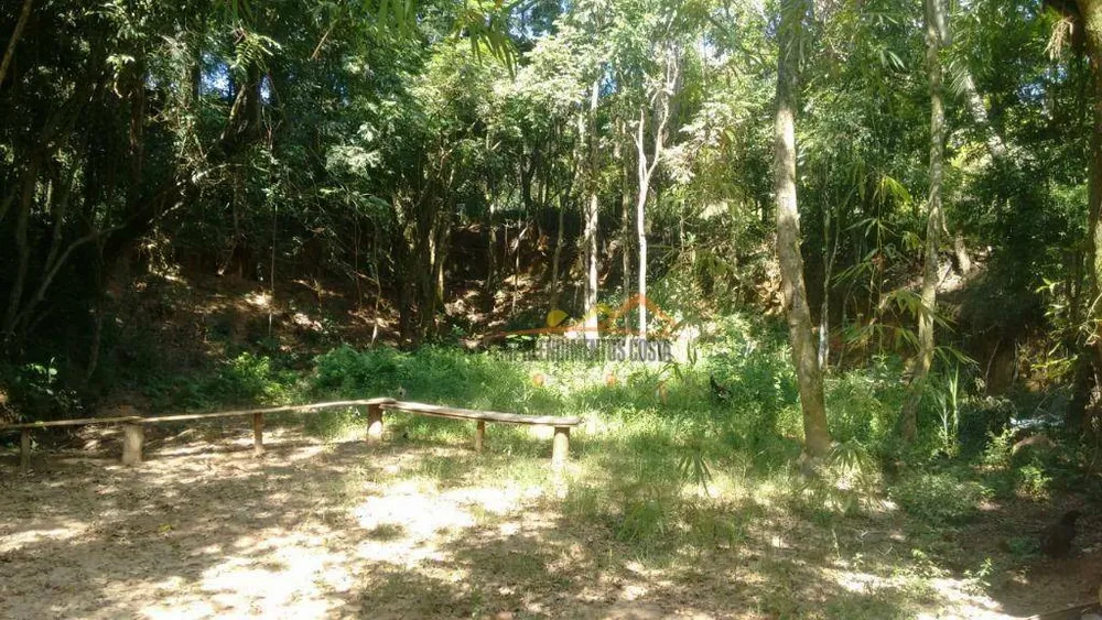 Sítio, 17 hectares - Foto 18