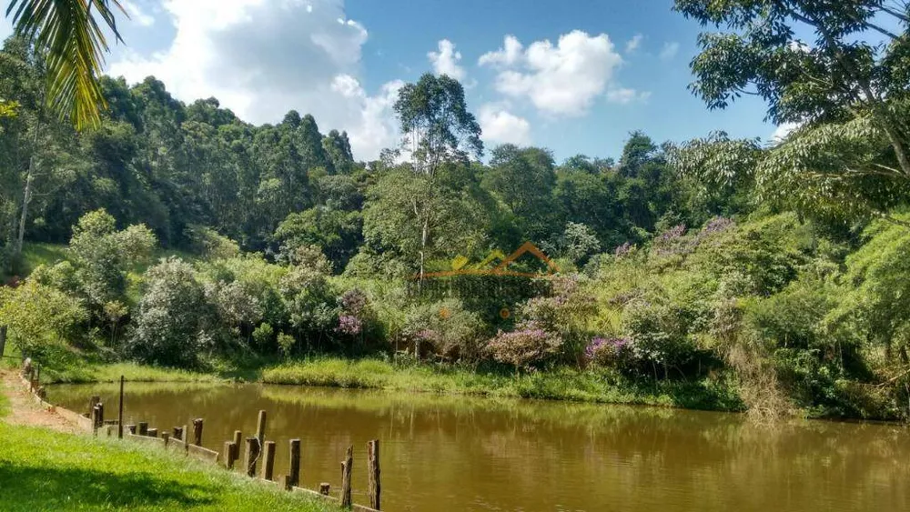 Sítio, 17 hectares - Foto 11
