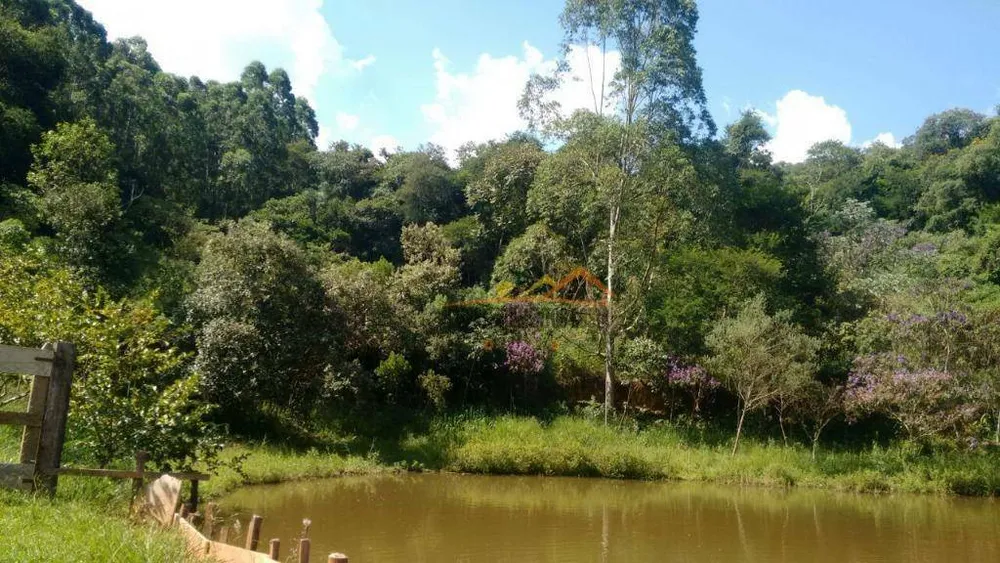 Sítio, 17 hectares - Foto 7