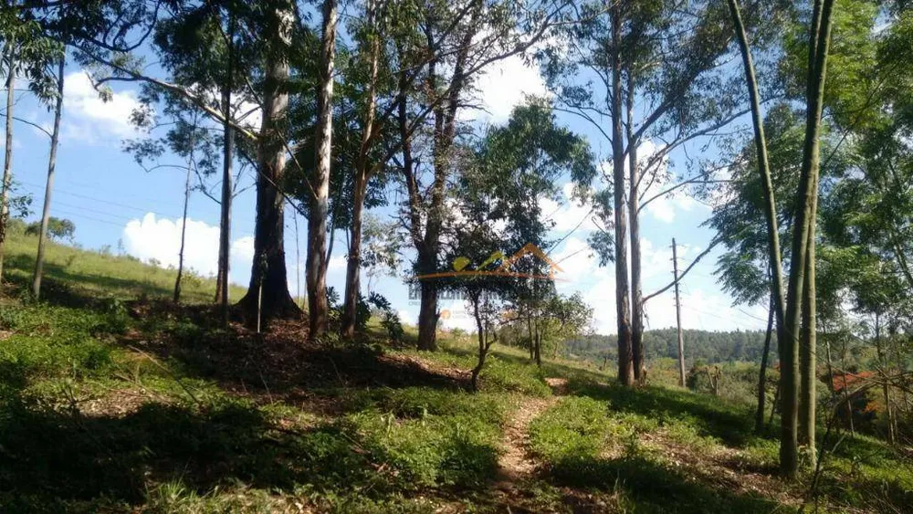 Sítio, 17 hectares - Foto 6