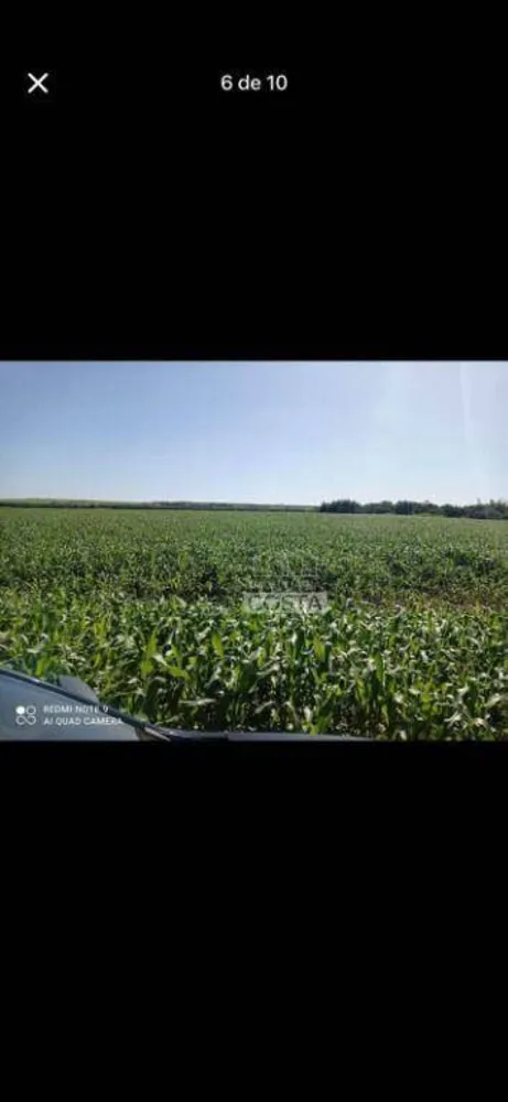 Fazenda, 356 hectares - Foto 1