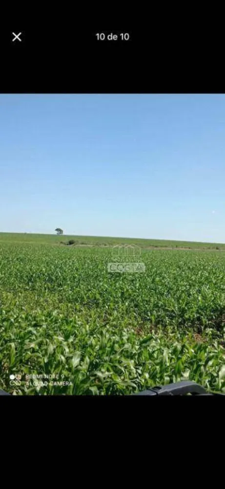 Fazenda, 356 hectares - Foto 2