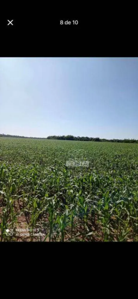 Fazenda, 356 hectares - Foto 7