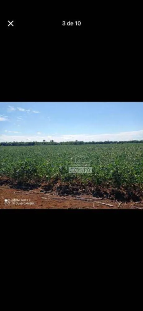 Fazenda, 356 hectares - Foto 6