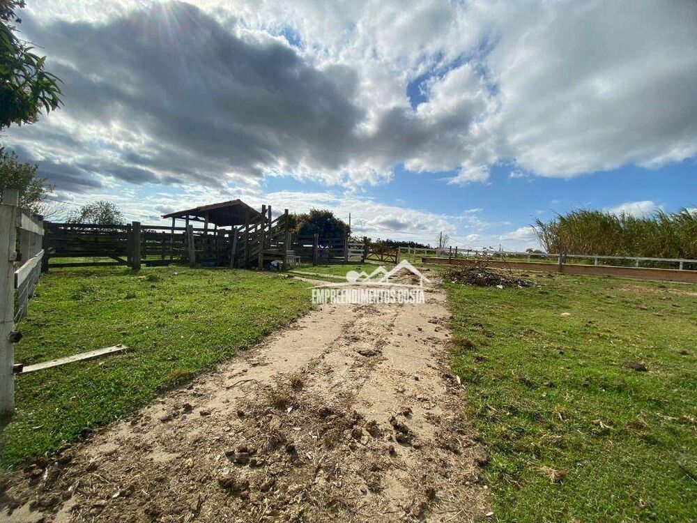 Sítio, 5 quartos, 9 hectares - Foto 6