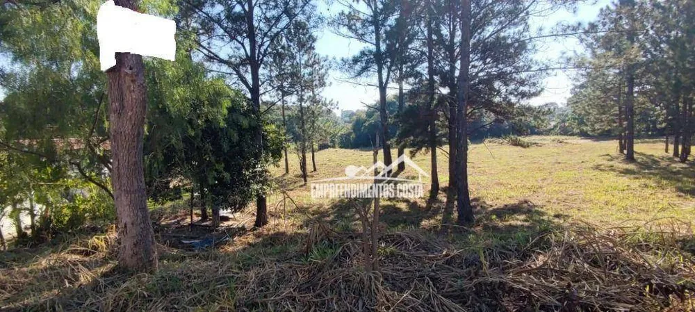 Loteamento e Condomínio, 2906 m² - Foto 1