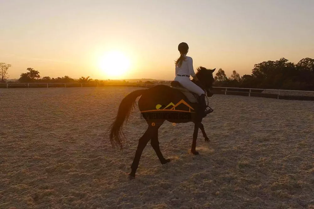 Casa de Condomínio, 6 quartos - Foto 11