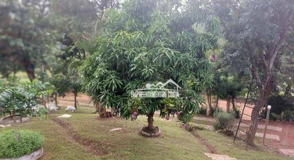 Chácara, 1 quarto, 2100 m² - Foto 16