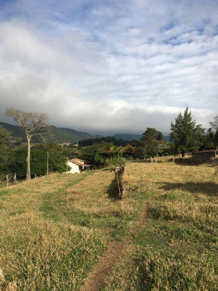 Sítio à venda e aluguel com 8 quartos, 700m² - Foto 2
