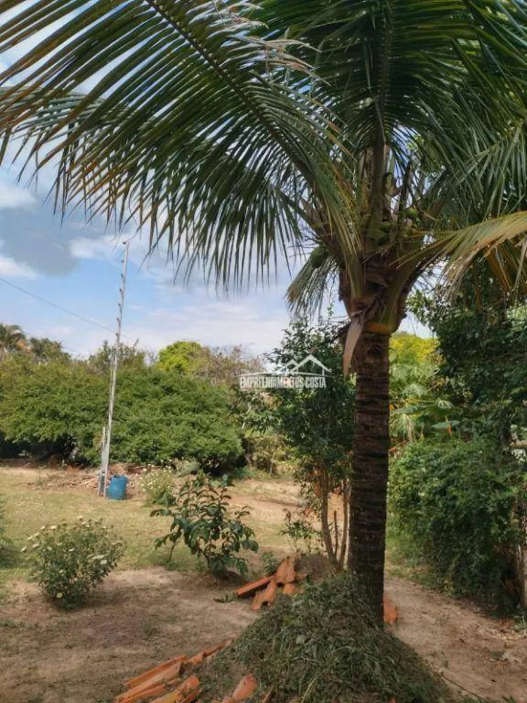 Chácara, 3 quartos, 2000 m² - Foto 13