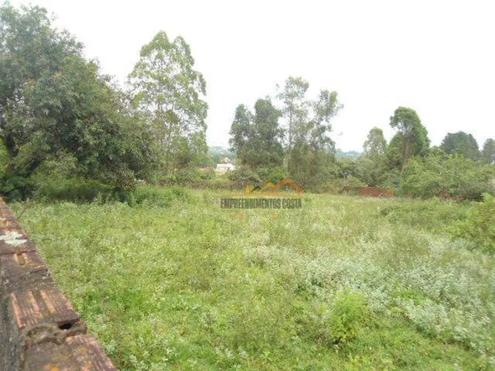 Chácara, 2 quartos, 1950 m² - Foto 6