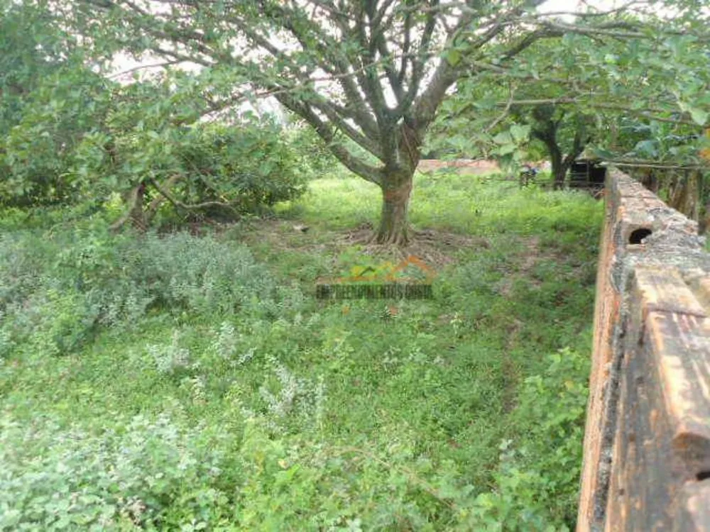 Chácara, 2 quartos, 1950 m² - Foto 9