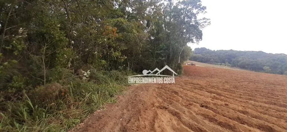 Terreno, 10 hectares - Foto 4