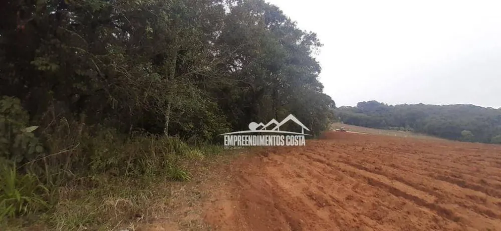 Terreno, 10 hectares - Foto 2