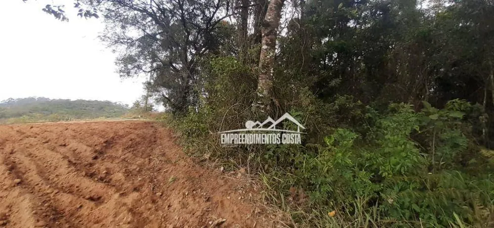 Terreno, 10 hectares - Foto 3