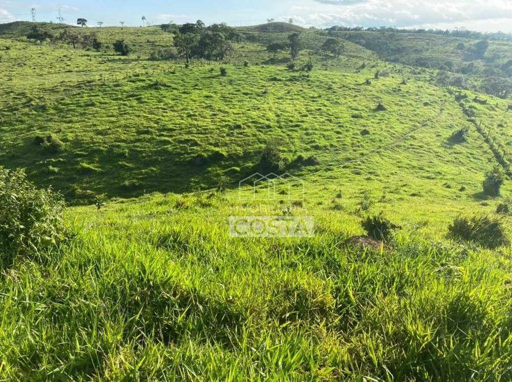 Fazenda, 6 hectares - Foto 14