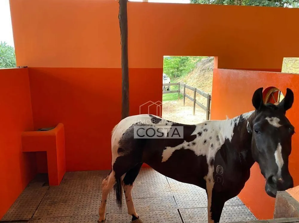 Fazenda, 6 hectares - Foto 12