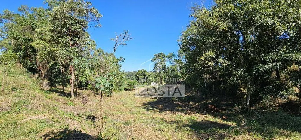 Loteamento e Condomínio, 2561 m² - Foto 4
