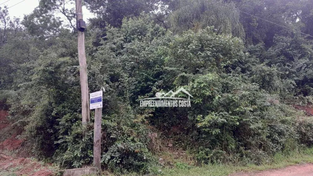 Terreno, 5000 m² - Foto 3