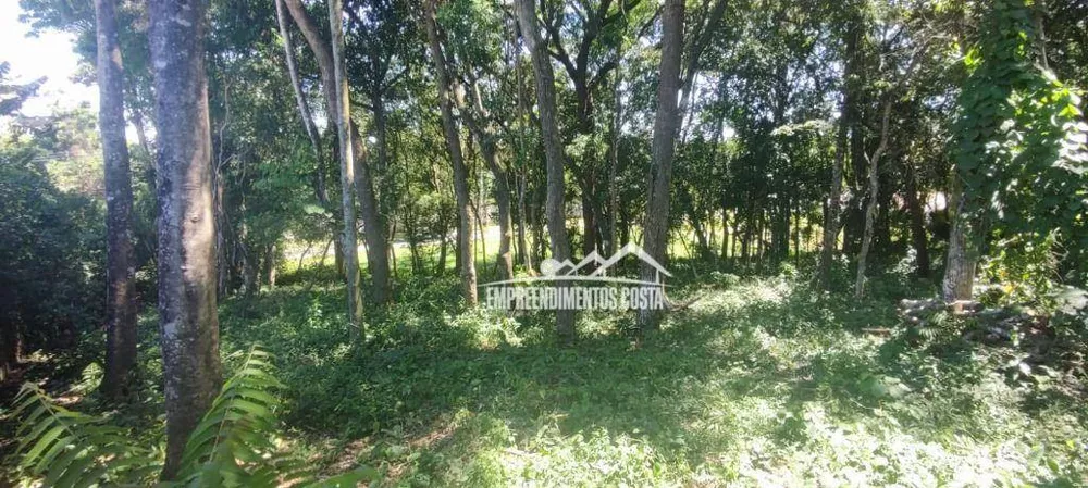 Loteamento e Condomínio, 3200 m² - Foto 4