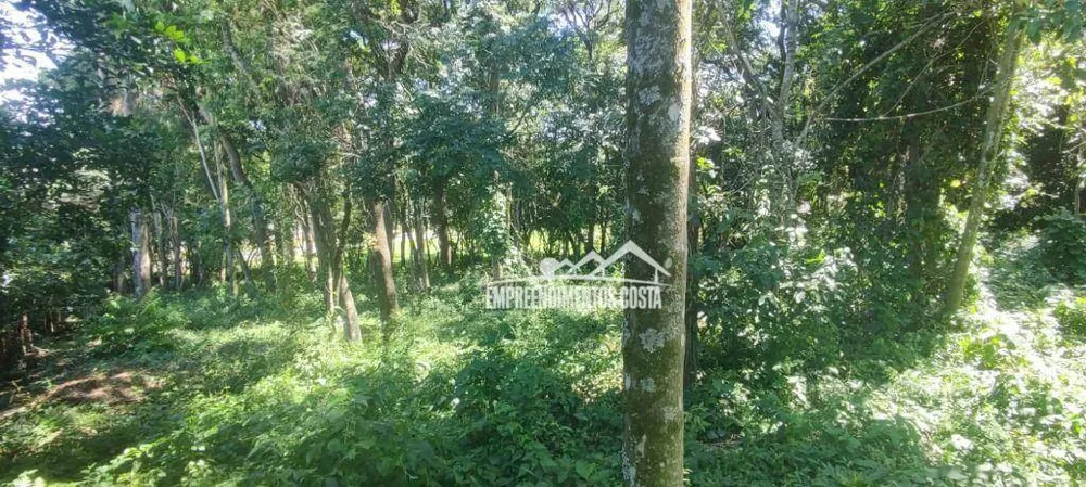 Loteamento e Condomínio, 3200 m² - Foto 6