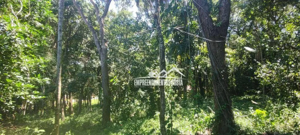 Loteamento e Condomínio, 3200 m² - Foto 7