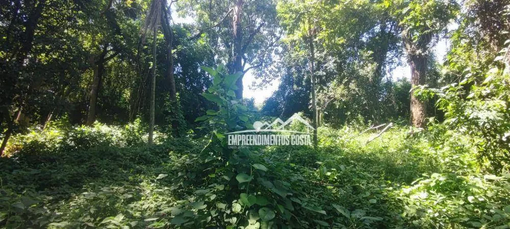 Loteamento e Condomínio, 3200 m² - Foto 5