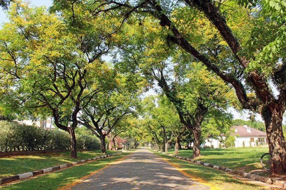 Loteamento e Condomínio, 3000 m² - Foto 17