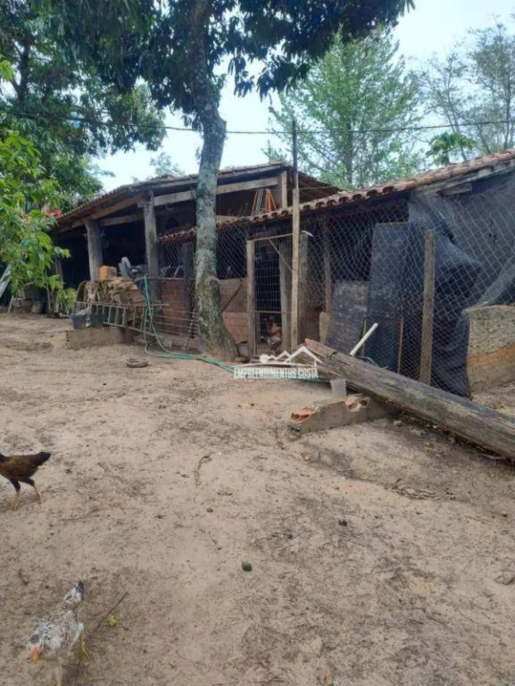 Chácara, 4 quartos, 1800 m² - Foto 3