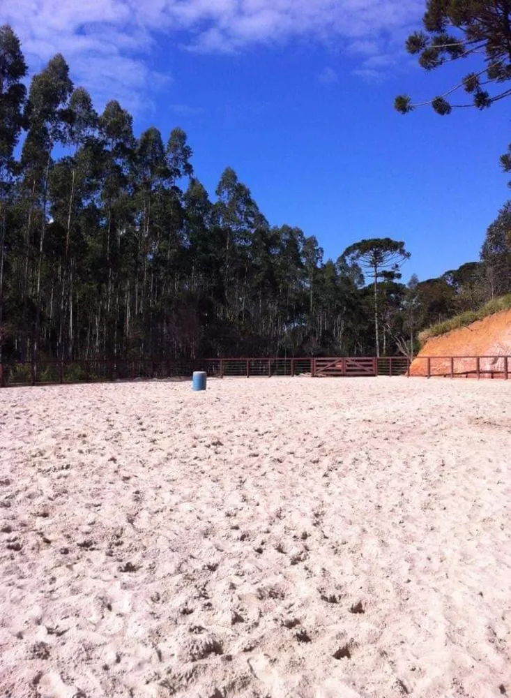 Fazenda, 5 quartos - Foto 7