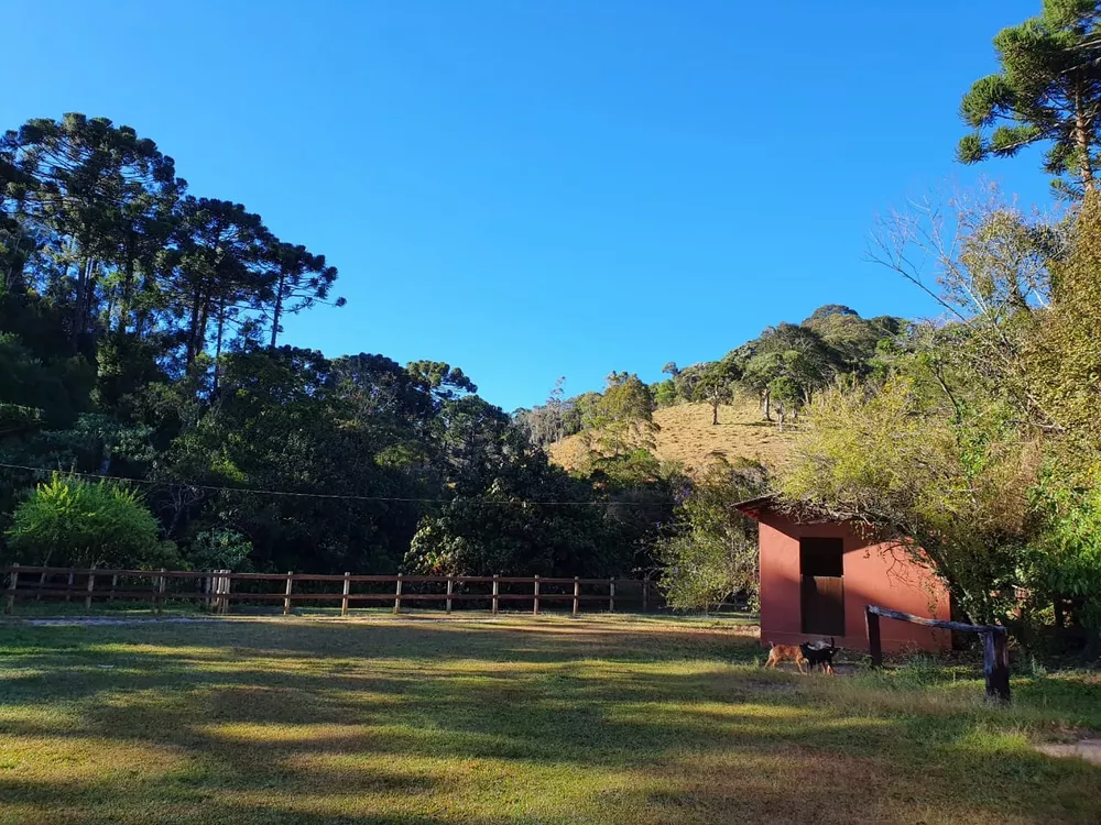 Fazenda, 5 quartos - Foto 4