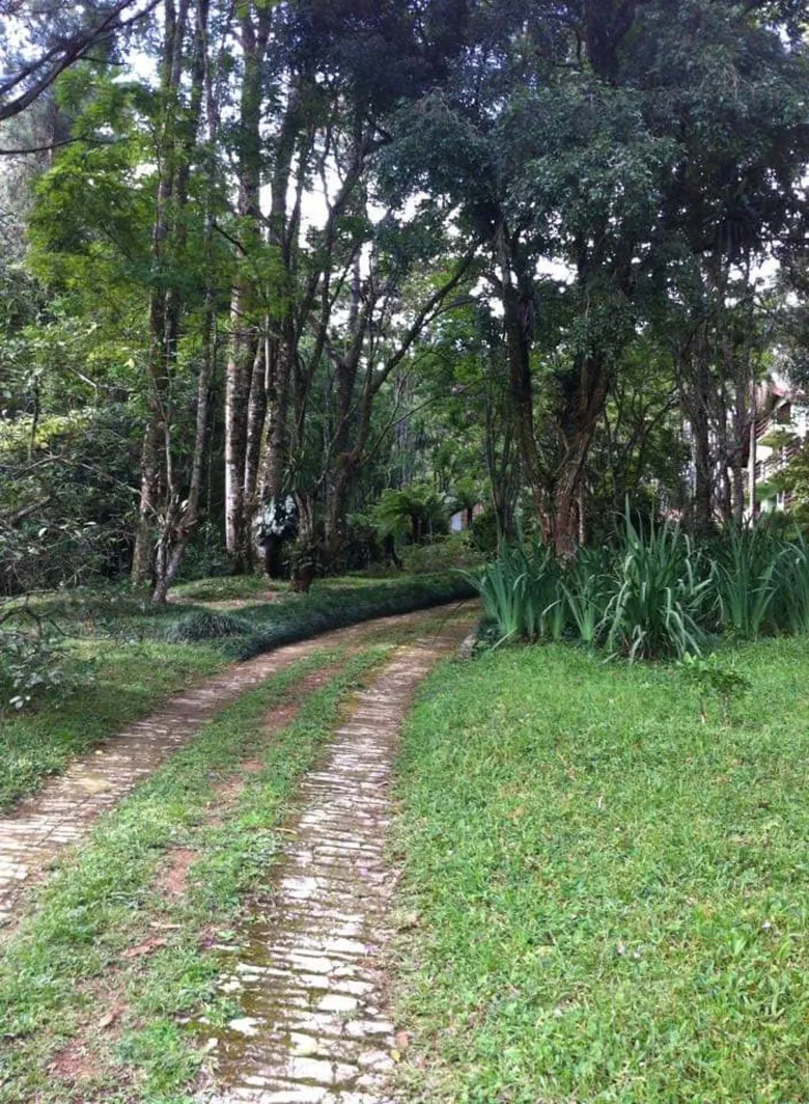 Fazenda, 5 quartos - Foto 10
