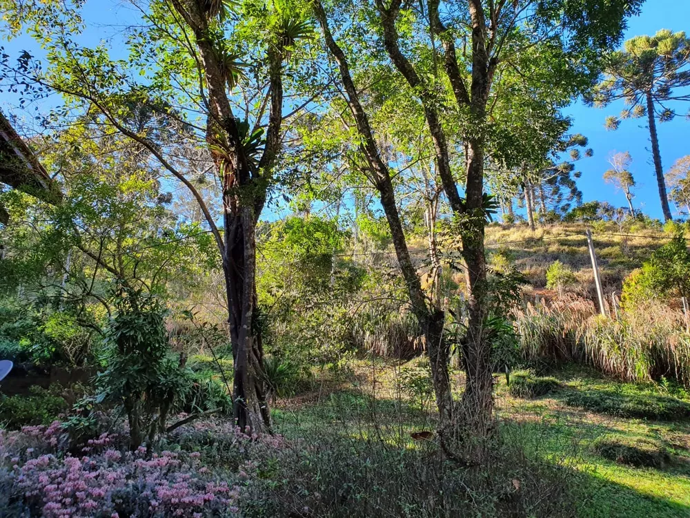 Fazenda, 5 quartos - Foto 5
