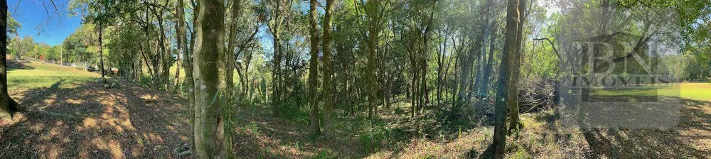 Loteamento e Condomínio, 2 hectares - Foto 6