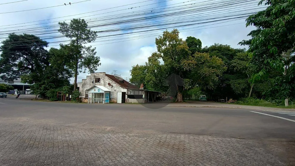 Terreno, 2995 m² - Foto 3