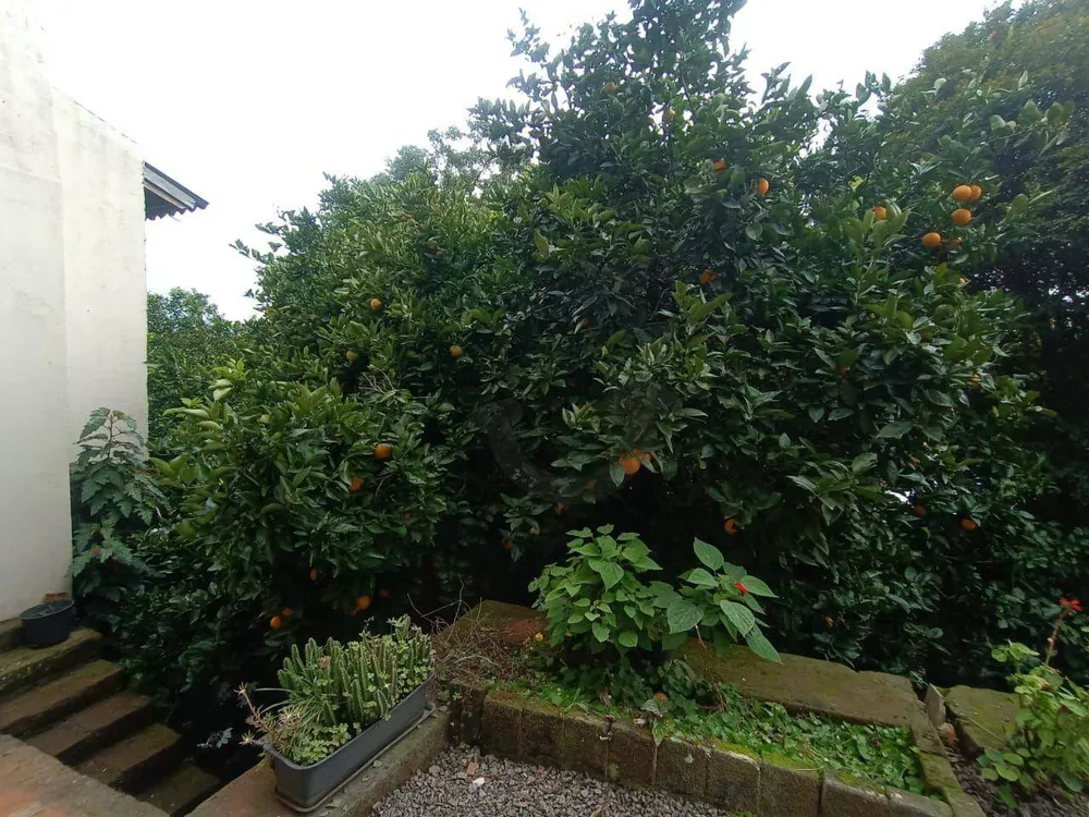 Casa, 4 quartos, 160 m² - Foto 3