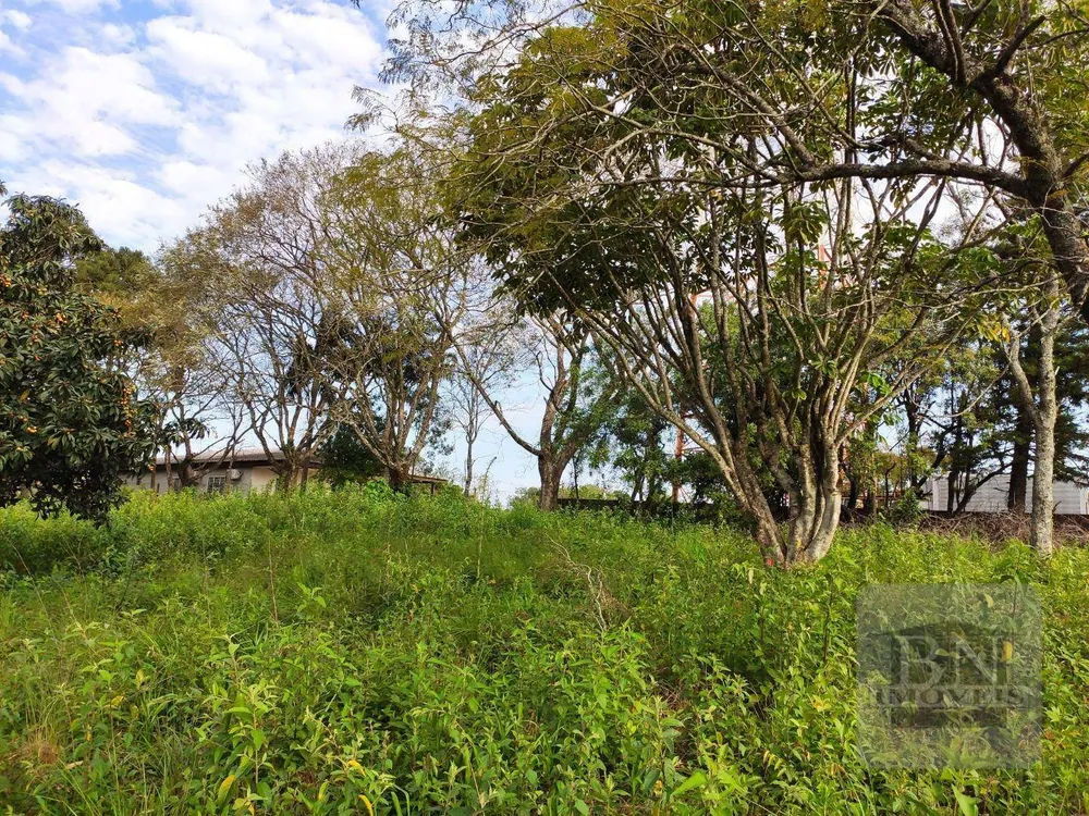 Terreno, 2606 m² - Foto 4
