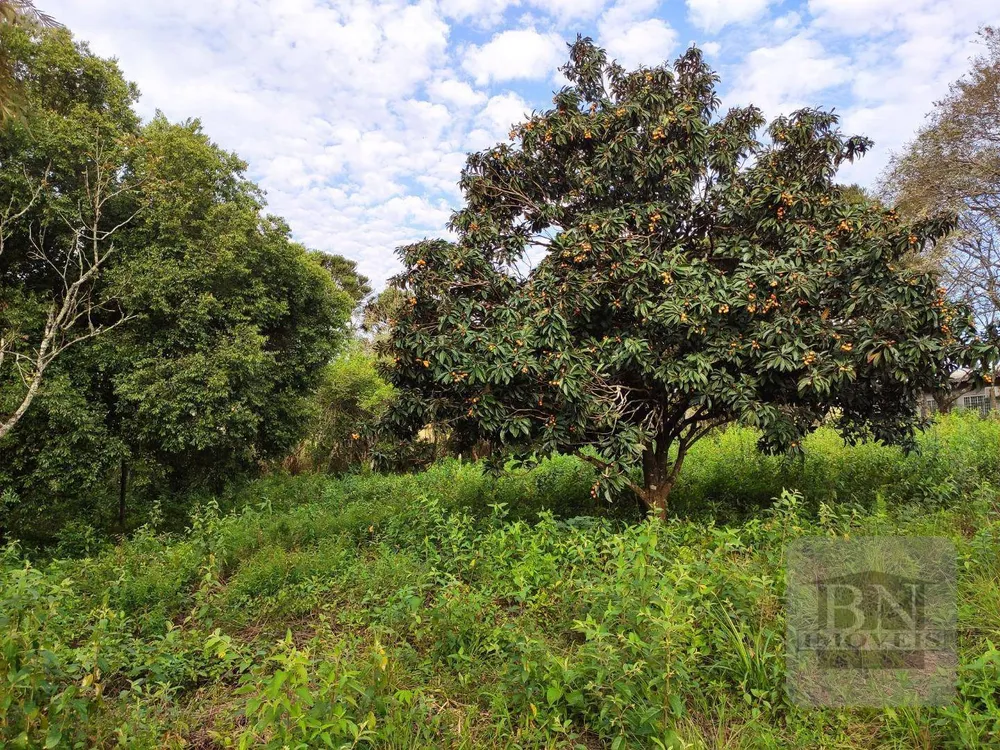 Terreno, 2606 m² - Foto 5