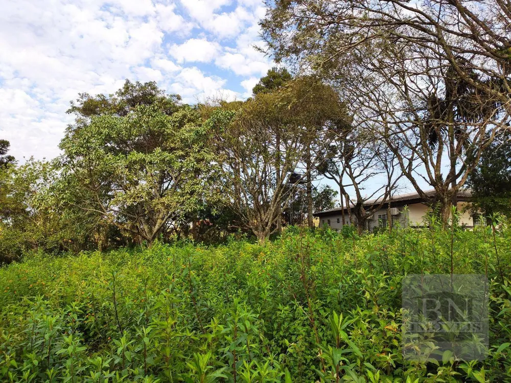 Terreno, 2606 m² - Foto 6