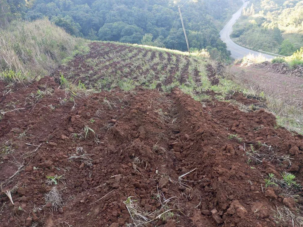 Chácara, 4 hectares - Foto 8