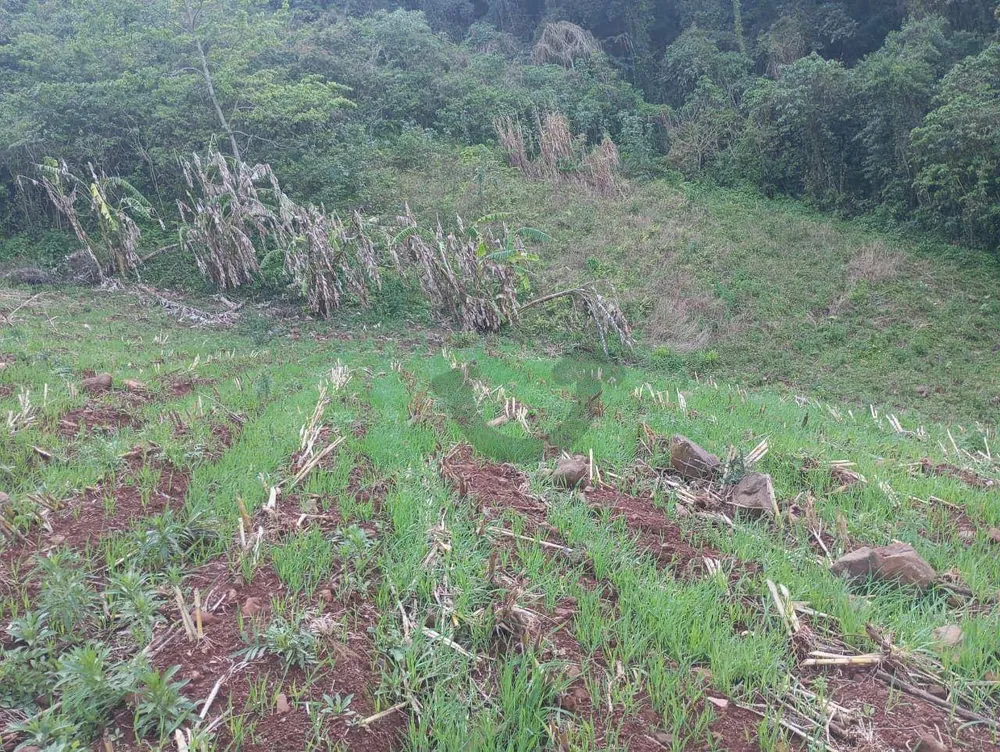 Chácara, 4 hectares - Foto 4