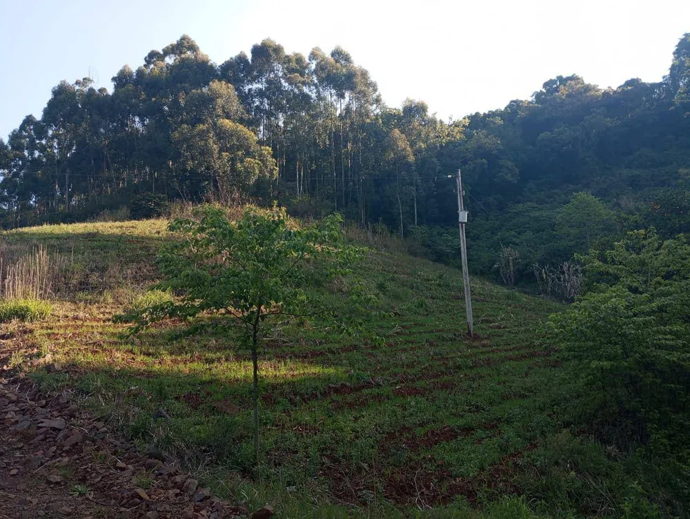 Chácara, 4 hectares - Foto 2